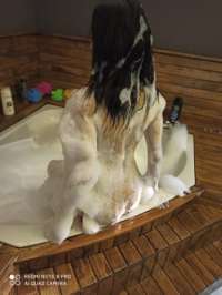 Samsun Oral Escort: Aşkınızı Hayranlıkla Karşılayan Özlem